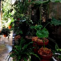 33位のイメージ