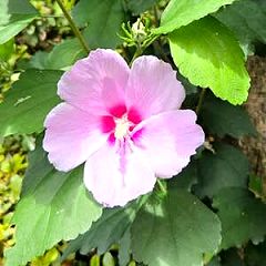 122位のイメージ