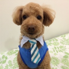 28位のイメージ