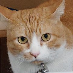 70位のイメージ