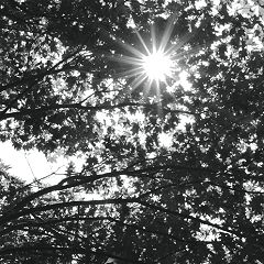 17位のイメージ