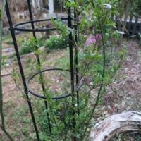 163位のイメージ