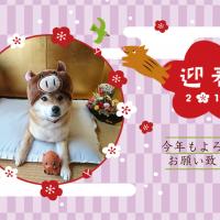 38位のイメージ