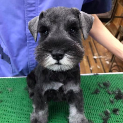 17位のイメージ