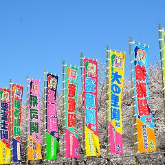 14位のイメージ