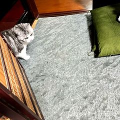 20位のイメージ