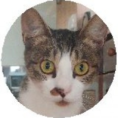 11位のイメージ