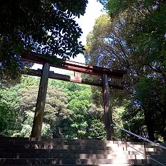 107位のイメージ