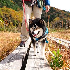 60位のイメージ