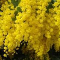 19位のイメージ