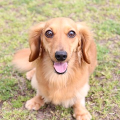 44位のイメージ