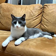 55位のイメージ