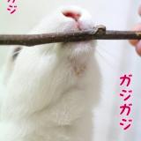 18位のイメージ