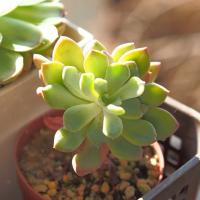 16位のイメージ