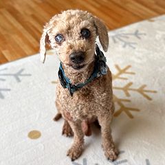 134位のイメージ