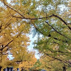 157位のイメージ