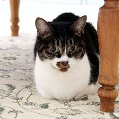 55位のイメージ