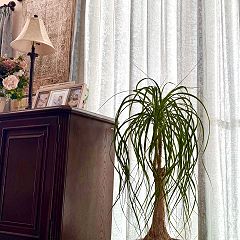 15位のイメージ