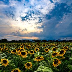 22位のイメージ