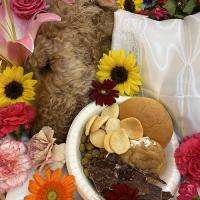 106位のイメージ