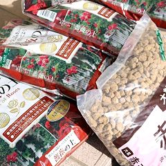 19位のイメージ