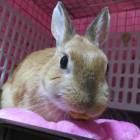 33位のイメージ