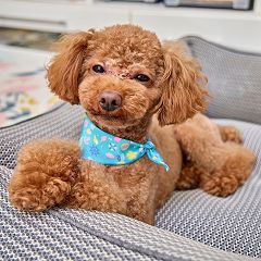 10位のイメージ