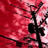 11位のイメージ