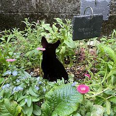 42位のイメージ