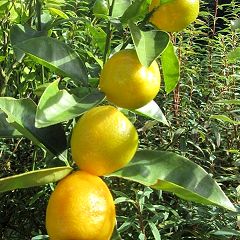 18位のイメージ