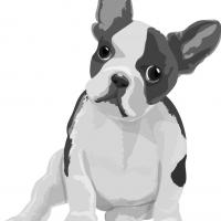 19位のイメージ