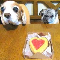 16位のイメージ