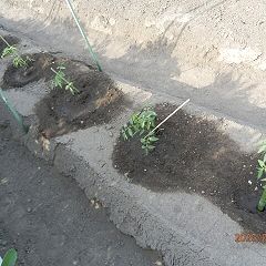 18位のイメージ