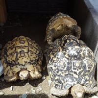 23位のイメージ