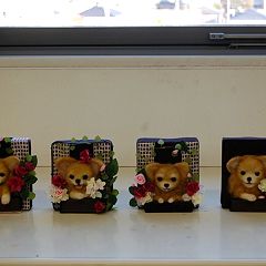 27位のイメージ