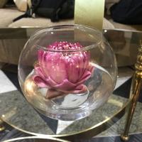 15位のイメージ