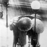 11位のイメージ