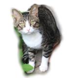 1378位のイメージ