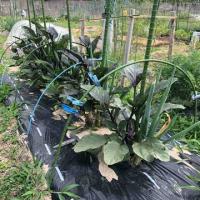 29位のイメージ