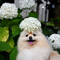 58位のイメージ