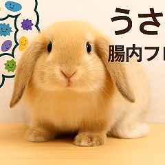 45位のイメージ