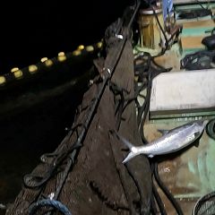 52位のイメージ