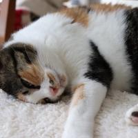 33位のイメージ