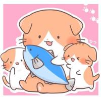 57位のイメージ