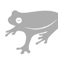 11位のイメージ