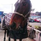 12位のイメージ