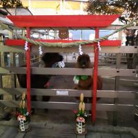 17位のイメージ