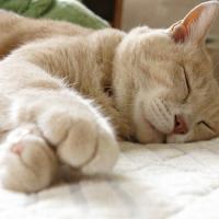 1070位のイメージ