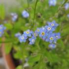 128位のイメージ