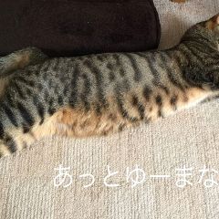 545位のイメージ